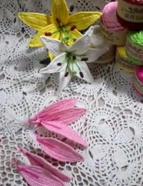 第一步:小片花瓣:起针后钩25针辫子针,然后一针起立针,2针短针、2针中长针、14针长针、4针中长针、2针短针、最后一针钩三个短针,然后接着往回钩,2针短针、4个中长针、14针长针、2个中长针、2针短针(其中最后一针转角加一针短针),与第一针并针,第一圈结束。 第二圈注入铁丝,起立针后2个短针、2个中长针、14个长针中间加3-5针长针、3针中长针、5针短针,最后一针加一针短针钩出一个角,然后往回钩,(弯好铁丝造型),接着5针短针、3个中长针、14个长针中间加3-5针长针、2个中长针、2个短针,最后把2根