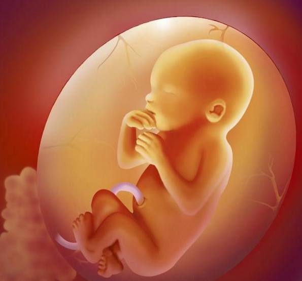 宝宝猛地踢一下妈妈的肚子,这是宝宝在和你交