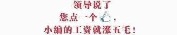 实拍: 起底菜刀队vs大砍刀队事件, 菜刀队6人打爆24人砍刀队!