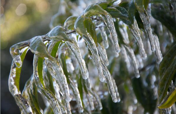 金秀大瑶山被冰雨侵袭后变得如此的唯美