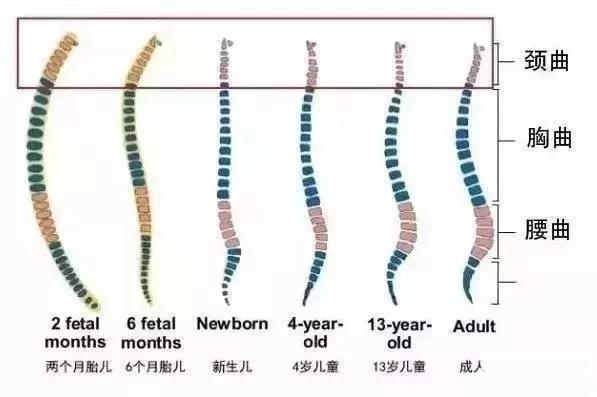 头型好医生睡告诉?短发出来你不要用宝宝黑丝少妇图片