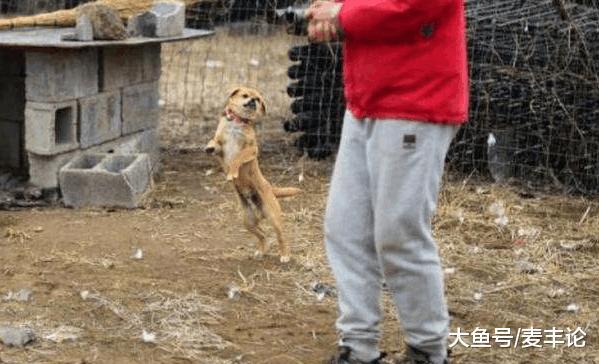 农村这几句关于夫妻的老话, 你听说过几句?