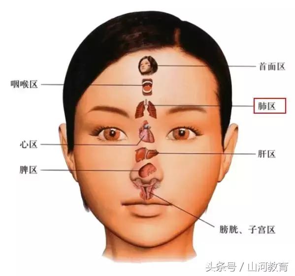 反射区域:在两眉1/2之间,额头1/3以下的部位,就是印堂这个位置.