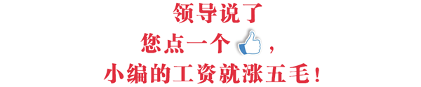 曾黎《男人装》性感封面, 薄纱遮体秀美胸, 网友: 姿势亮了!