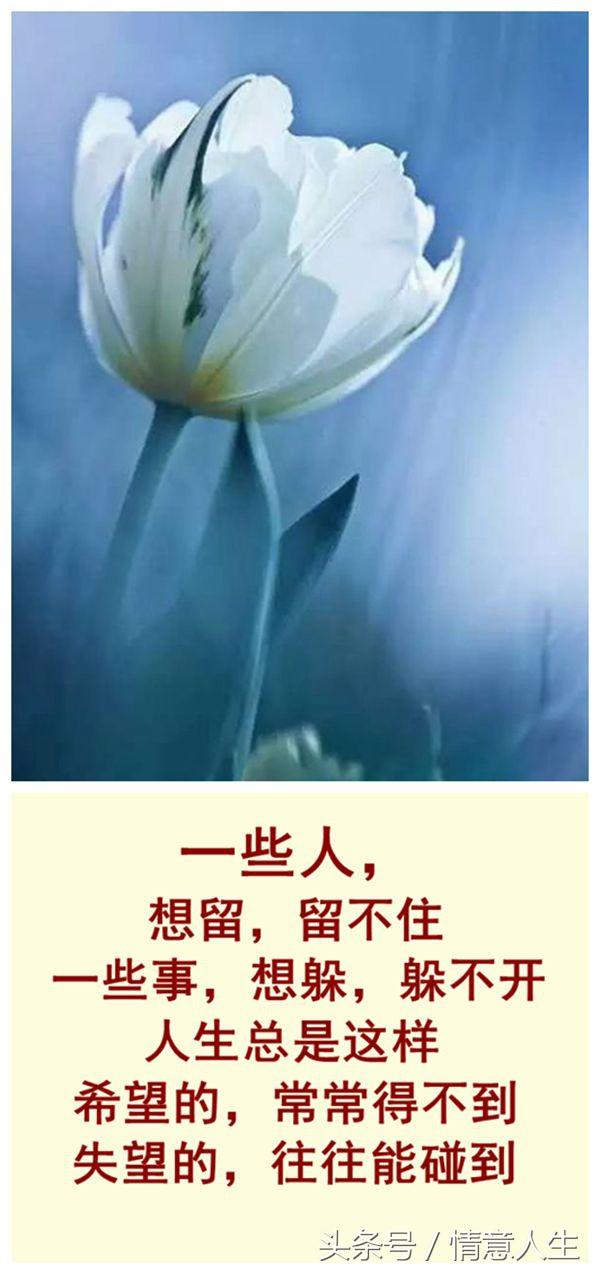 相逢是缘,相处是情,无论缘浅缘深,相逢就是一种幸运!