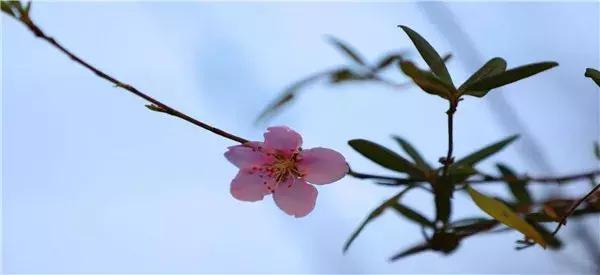 和妈妈
一块儿坐公交车，我遭受咸猪手，妈妈却叫我别作声