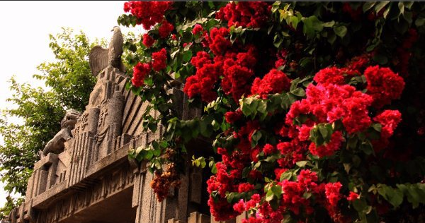 2018春节厦门旅游必看,鼓浪屿必读篇(含景区介