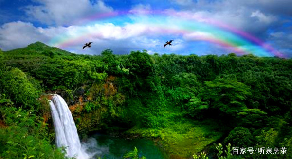 我们的地球是什么时候变成郁郁葱葱、鸟语花香