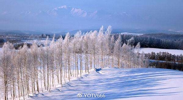 日本旅游ーー冬季雪景胜地TOP7