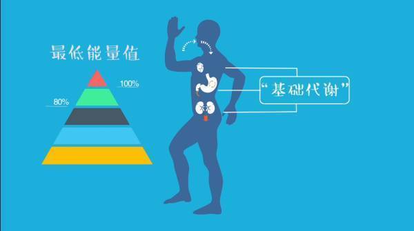 灰心30岁时比20岁时每天少燃烧近100大卡的热量新陈代谢率会逐年下降