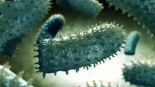 世界上10大最恐怖的病毒, 第一让近数亿人死亡