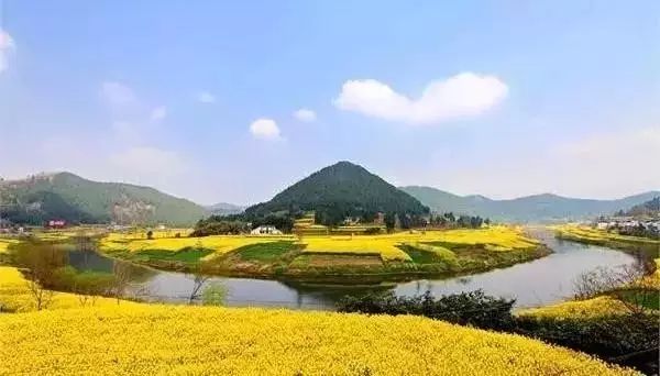 又到春花灿烂时,这份绵阳赏花攻略请收好!