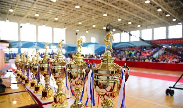 2017年厦门市青少年三大球联赛完美落幕