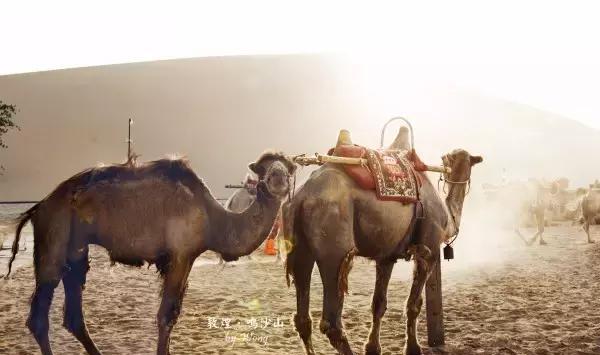 在这里我可以陪你看星星看月亮,从诗词歌赋谈