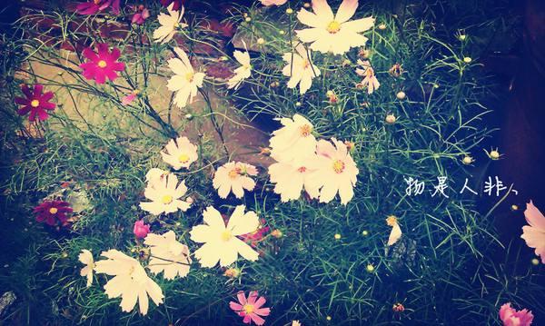 初心易得,始终难守,美到极致的诗句