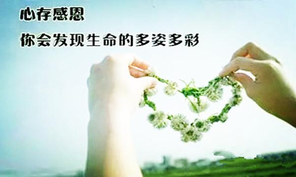 学会感恩的人,人生一定一帆风顺