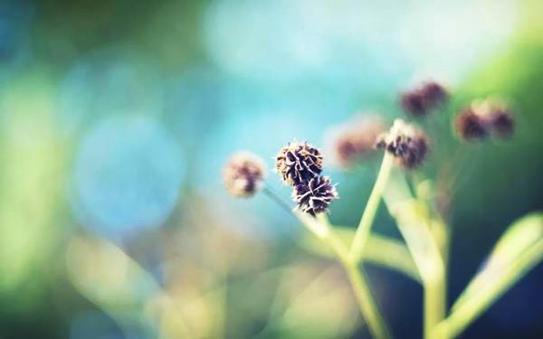 孩子问我们家是不是很穷?,妈妈的回答影响孩