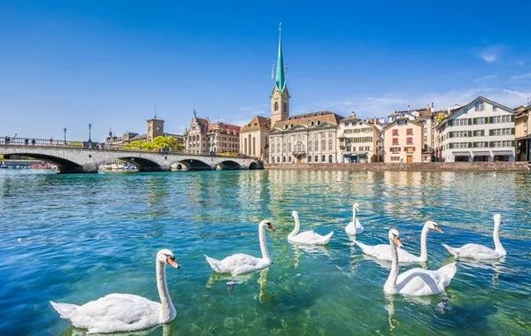 老友问:想去哪里?瑞士还是瑞典?愣住!有啥不