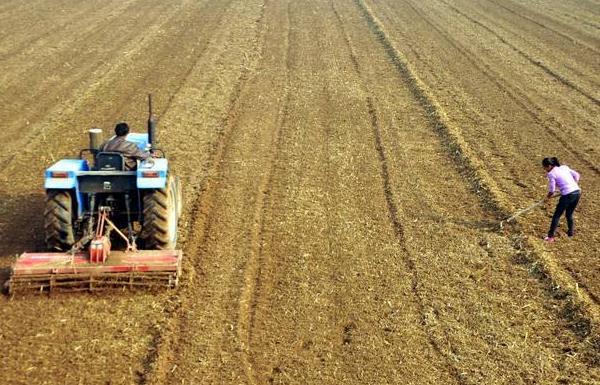 农村土地流转,一年给1000斤小麦,是赚还是亏了