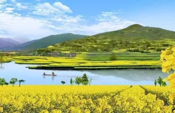重庆主城区县这些地的油菜花海最美
