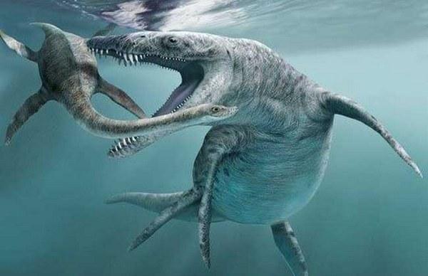 地球史前三大海洋霸主,第一被饿死终灭绝,第二