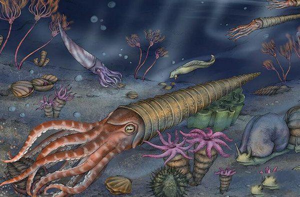 奥陶纪10大恐怖生物,第三知名度仅次于恐龙,第六致使三叶虫灭绝