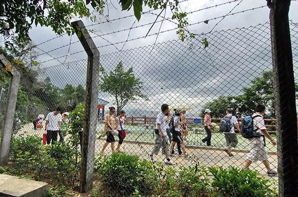 从此再无“关内关外”，国务院同意撤销深圳特区管理线