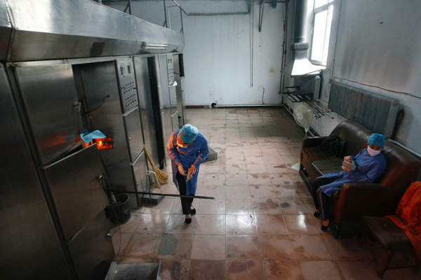 价值百万美元：泰男子海边捡一块臭石头，专家称可能是...