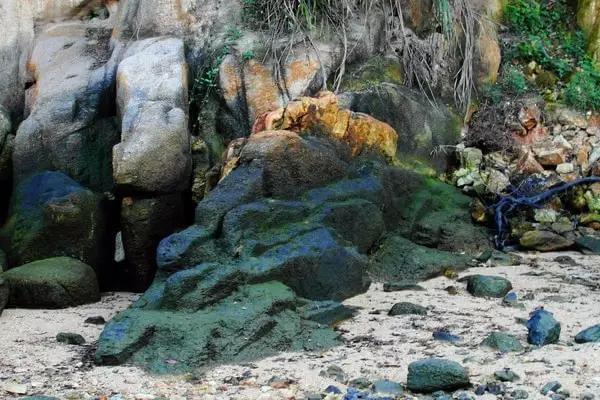 你可曾知道,厦门还有那些美丽的小众景点,在等