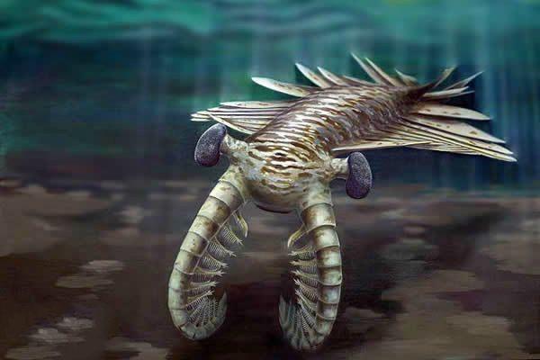 地球史前三大海洋霸主,第一被饿死终灭绝,第二