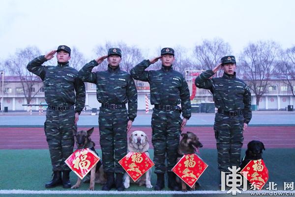 武警黑龙江总队机动支队官兵携军犬拜年.