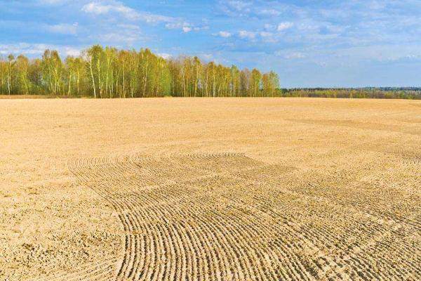 地、一分地、一平方米之间的换算关系详解