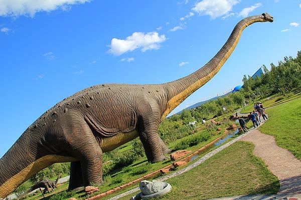 还说许氏禄丰龙不仅是中国第一具恐龙化石骨架,而且是中国人自己发掘