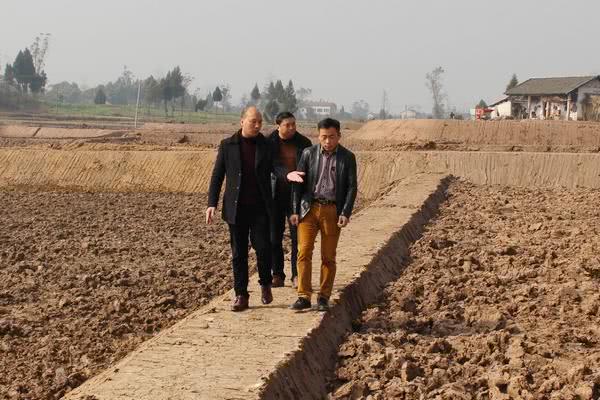 2018年,农村建设高标准农田有补贴,3类人可