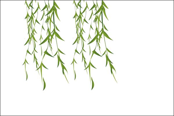 民间驱鬼方法介绍 家宅不宁驱鬼方法