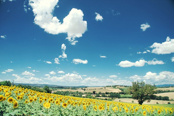 免试MBA:不要让年龄限制了我们的MBA梦想