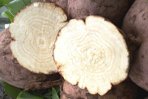 用一瓶陈醋加它,解决颈椎病!治一个好一个,而且