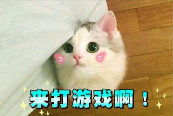 小大全v大全表情,可爱图片想你了流泪的猫咪表情带字图片仙女图片