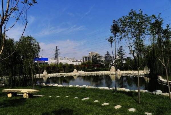 西安市这几个公园景美不远，可以免费游玩