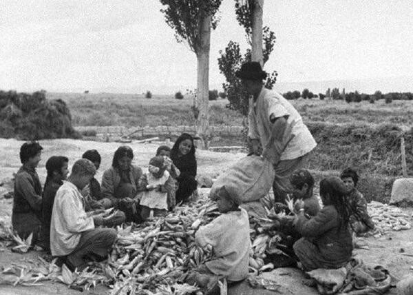 1940年代的新疆,罕见农村生活老照片,几代新疆人的回忆
