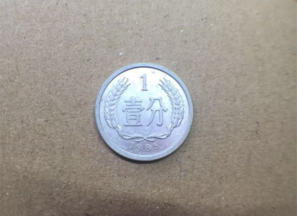 年仅十八的小姨子，酷爱收藏硬币，收来两枚分币，价值三千！