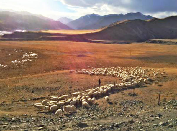 青海到北镇高中到北大光华,三模滑铁卢高考数