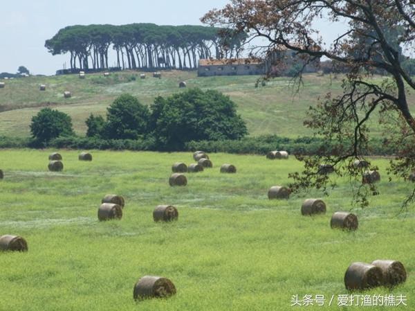 未来几年, 农业发展的7个趋势, 想回农村的都来