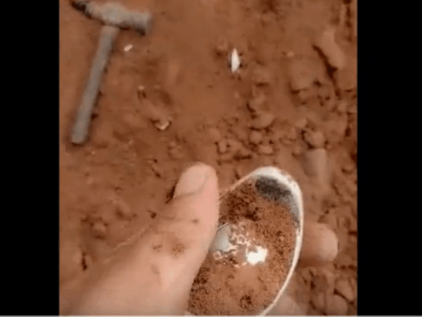 男子开挖掘机挖土, 发现泥土里有异样, 仔细查看是这种宝贝!