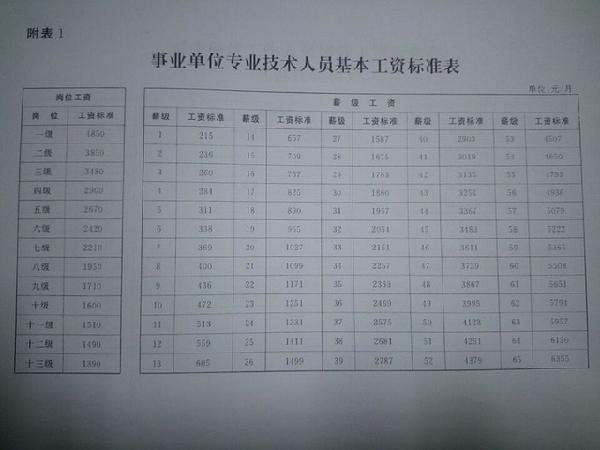 事业单位工资标准表(最新)附图