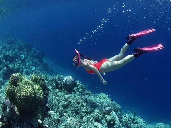 身穿比基尼潜泳的美女, 脑袋里都应该想些什么