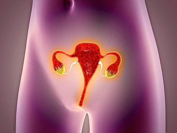 子宫肌瘤也是月经不调的主要引起因素,如果女性出现月经过多和不规律
