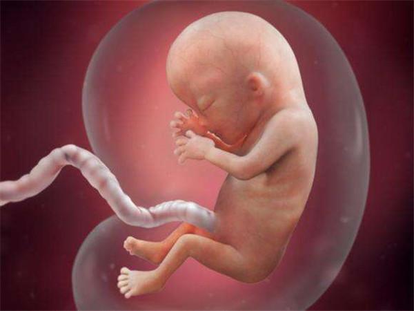 我来问,你来答:胎儿在妈妈的肚子里时,会呼吸吗?怀孕时