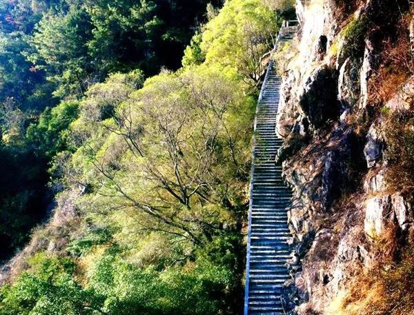 仙游：天马山枫叶展露“红颜‘’
