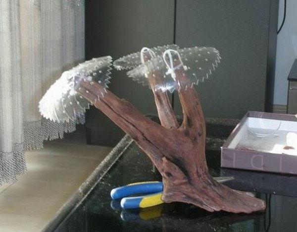 家居水景丨简单介绍草缸造景莫斯捆绑方法